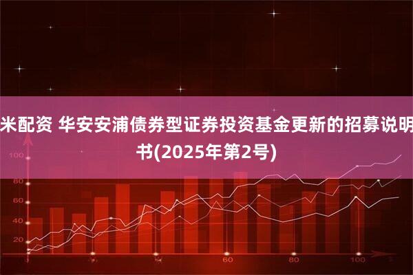 米配资 华安安浦债券型证券投资基金更新的招募说明书(2025年第2号)