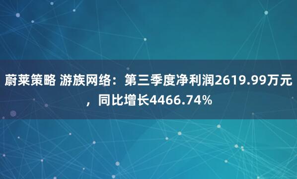 蔚莱策略 游族网络：第三季度净利润2619.99万元，同比增长4466.74%